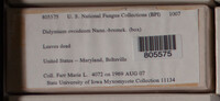Image Associated With the Occurence